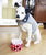 Grey Reclaimed Wool Dog Coat with Navy Polka-Dot Collar - Size M
